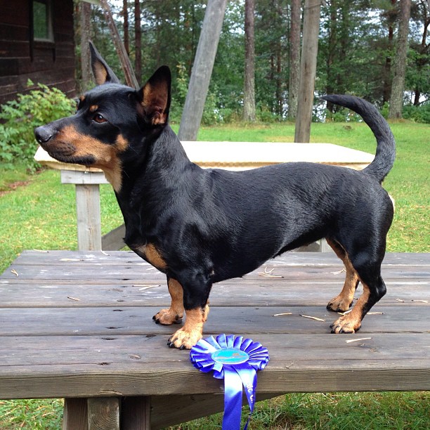 Segra på sin första utställning