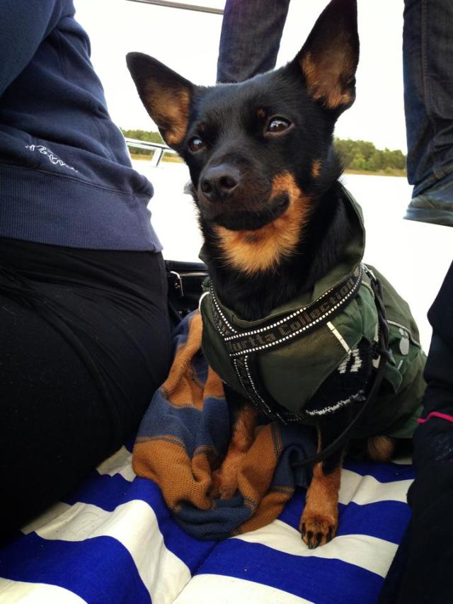 Tuva var något mer markfast ;)