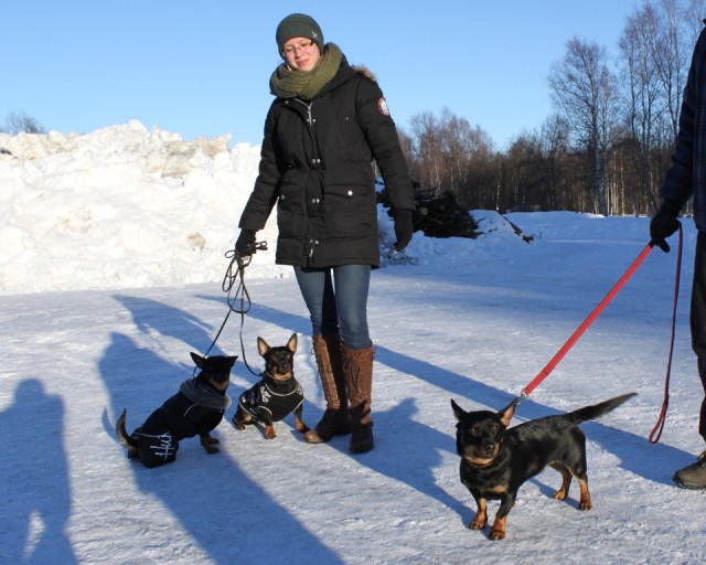 På besök hos Dixxie! Det måste vi göra om snart! 