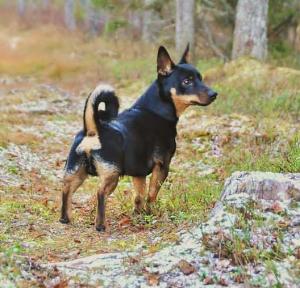 Iso-3 Kim Salomonsson