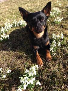 Nu är våren här! :)