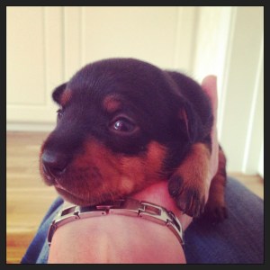 öppnade ögonen först