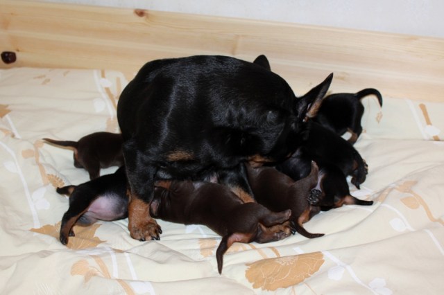 Så lite häng i mjölkbaren 