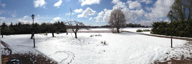 10169271_10203795841126704_6936773641516183233_n