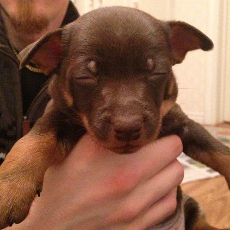 10320515_10203803546679338_6275927722765219598_n