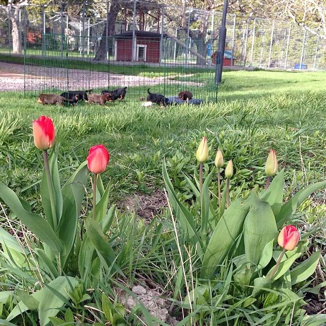 10325201_10203814988005364_5166071410408603294_n