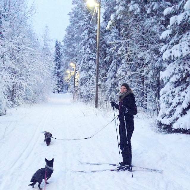 10885393_10205681781434033_5405626167169803603_n