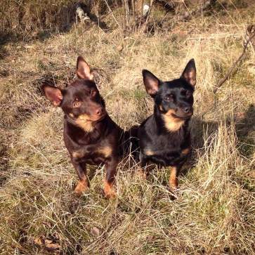 Alda & Tuva i det fina vårvädret