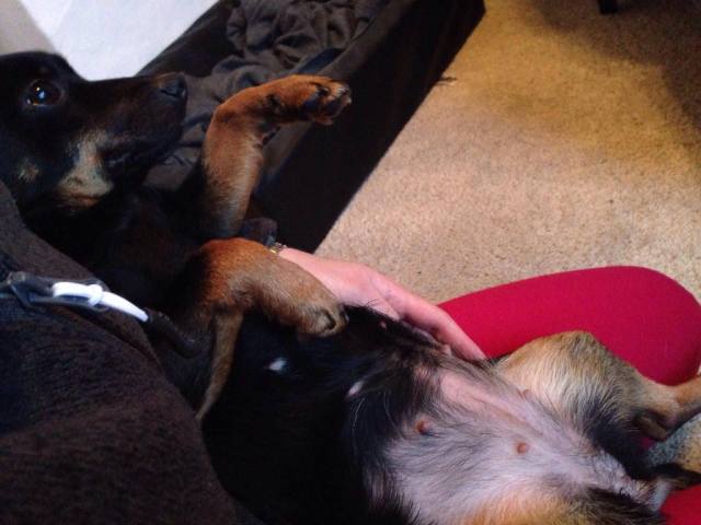 16810409_10212286343143948_713300941_o