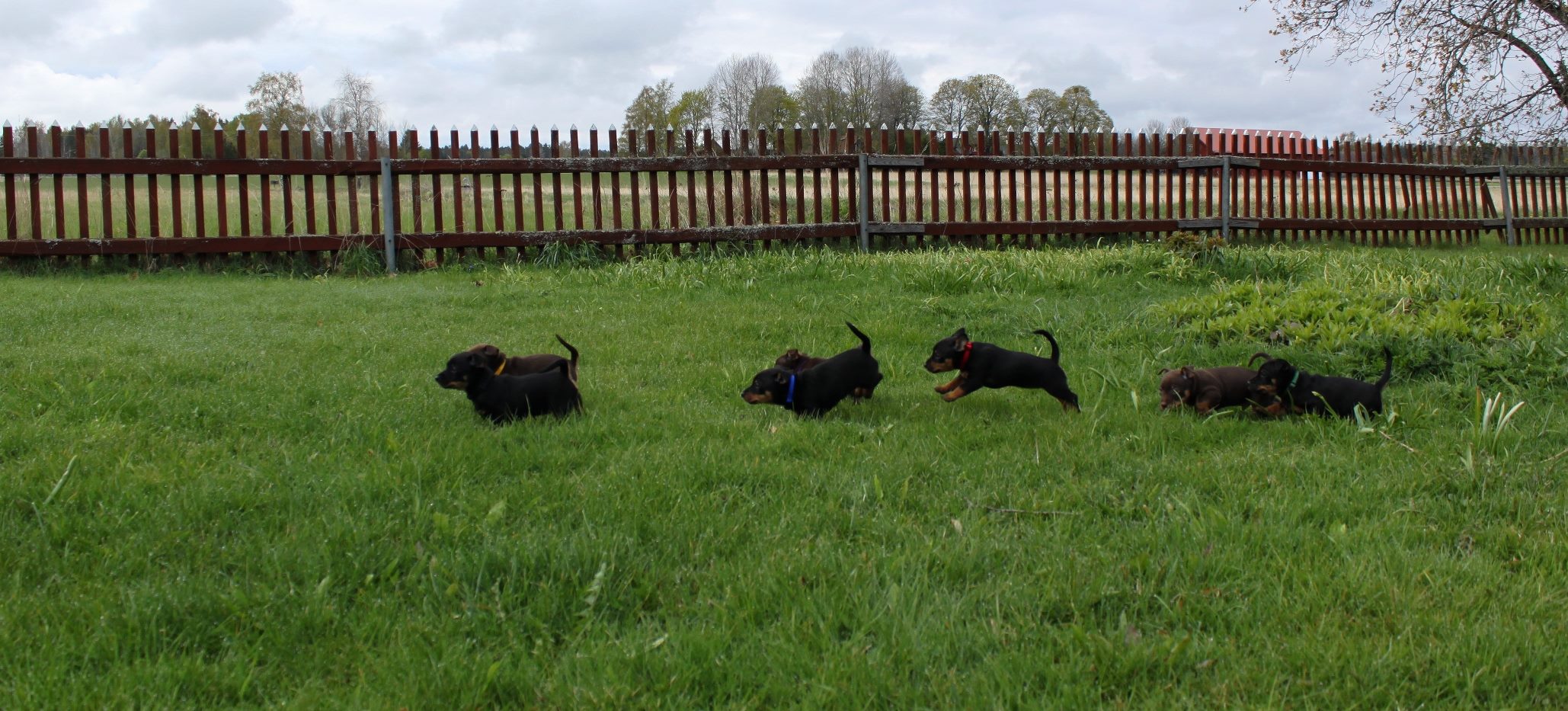 10866274_10206465451625298_908384776505238943_o