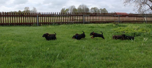 10866274_10206465451625298_908384776505238943_o