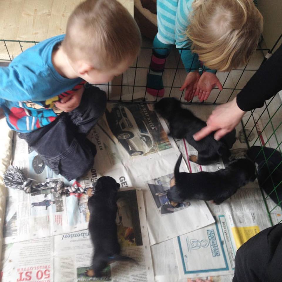 17904054_10212828262091583_8225491609815728089_n